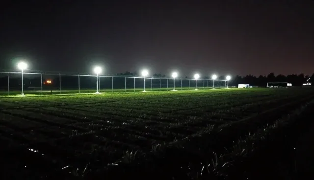 日常保洁套餐中故障处理的常见误区与正确理解